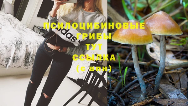 гидропоника Арсеньев