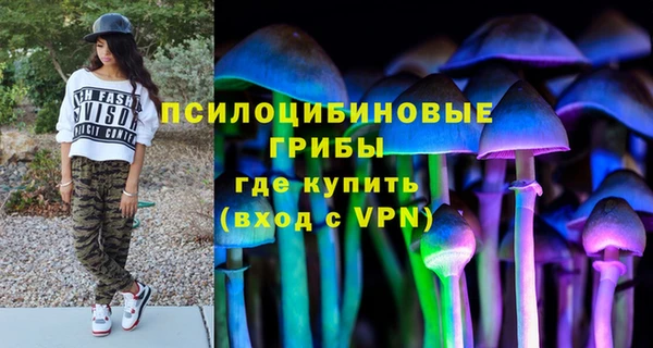 эйфоретик Алзамай