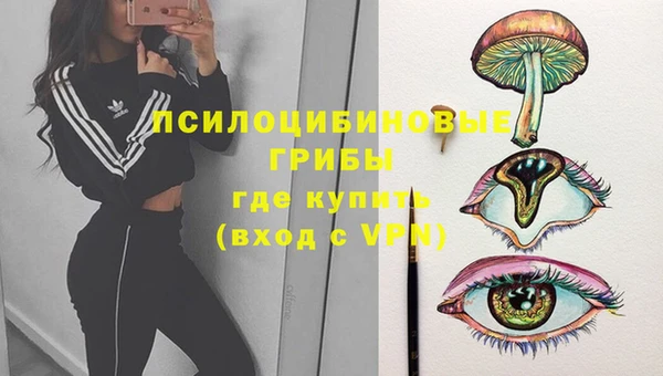 стафф Балабаново