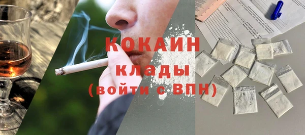 крисы Балахна