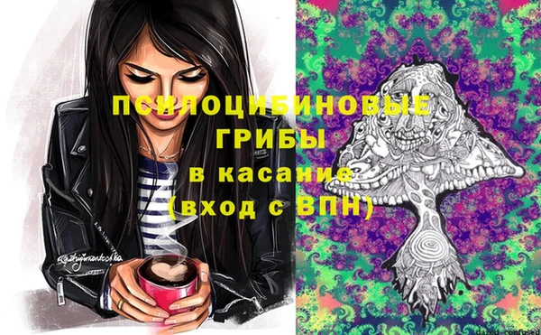 гидропоника Арсеньев